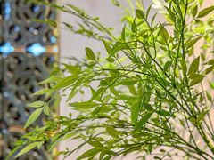 -玲珑·新粤菜(安华汇店)