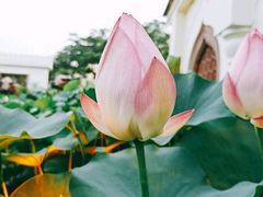 -龙环葡韵住宅式博物馆