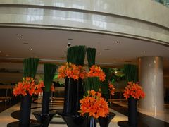 -广州白云机场雅高铂尔曼大酒店