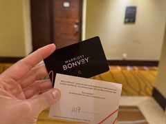 -芽庄喜来登水疗酒店