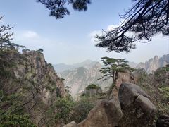-黄山风景区
