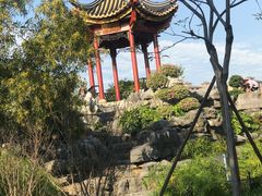 -顺峰山公园