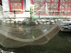 -鹅城