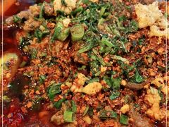 -眉州东坡(华联万柳店)