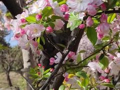 -元大都城垣遗址公园