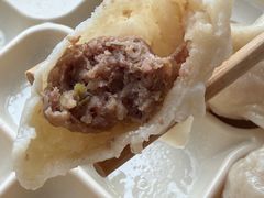 -新兴园饺子馆(河南街店)