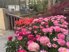 -上海交通大学(闵行校区)