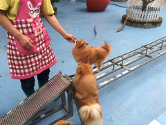 -百万葵园