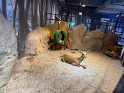 -酷嗒动物文化乐园(cutezoo西溪乐天城店)