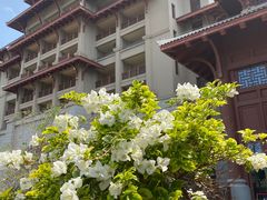 -海口万豪·大堂吧·望海吧.日落海景·下午茶·奶茶·咖啡·轻食·蛋糕·鸡尾酒·清吧