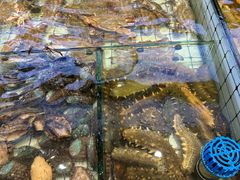 -大锅强·蒸海鲜青岛菜(金沙滩店)
