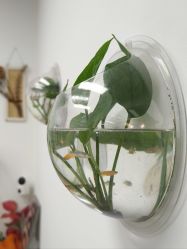 点击看大图 -朵琳·美甲美睫纹绣