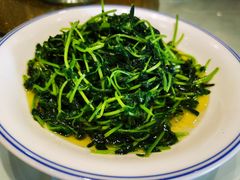 豆苗-翠山·映月湖景餐厅(映月湖公园店)