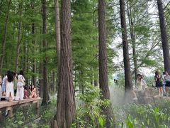 -东湖落雁景区