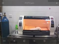 伟伟宠物医院-伟伟宠物医院·CT影像中心·瑞派犬猫综合性门诊(汉口总院)