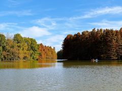 -上海海湾国家森林公园