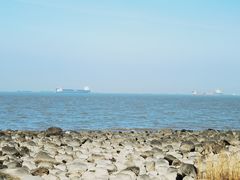 -上海吴淞炮台湾国家湿地公园