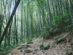 -上海方塔园