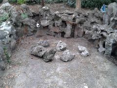周边环境-上海市松江区中心医院