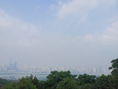 -茶颜悦色(岳麓山顶店)