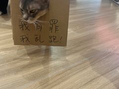 -NRG健身私教CLUB(打浦桥店)