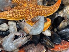 -滨海小渔村·海肠捞饭·鲅鱼水饺·特色老火鱼丸汤(华田店)