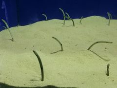 -上海海洋水族馆