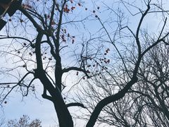 -梅兰芳纪念馆