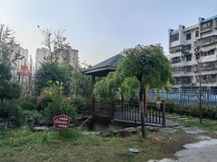 -院里寻菜·精致庭院菜(观沙岭店)