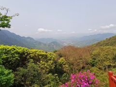 -广州市石门国家森林公园