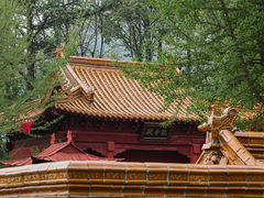 -沂蒙山旅游区云蒙景区(蒙山国家森林公园)