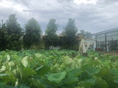 -洪湖家庭农场·团建·露营·会议