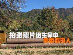 -塔川景区