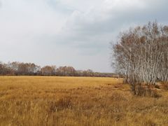 -御道口草原森林风景区