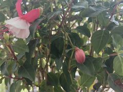 -花溪公园