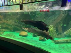 -常州海昌海洋探索馆