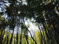 -宝石山