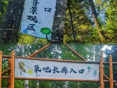 -汤旺河林海奇石景区