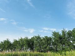 -洪湖生态旅游区