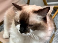 -seeu coffee(江滩店)