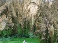 -福田美术馆——新童话主义－周艺文艺术季