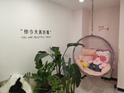 -久匠·野生眉半永久纹眉