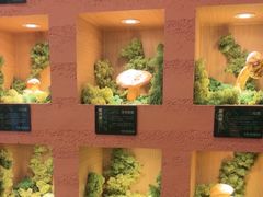 -首开·龙湖成都西宸天街