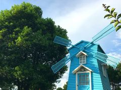 -铁山坪森林公园