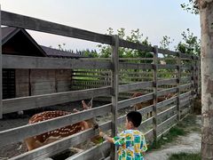 -安德鲁户外烧烤帐篷营地(马泉营店)