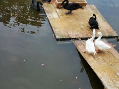 -清风小镇闯关东影视基地