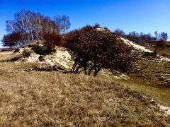 -塞罕坝国家级自然保护区