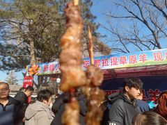 -大明幻境第一城