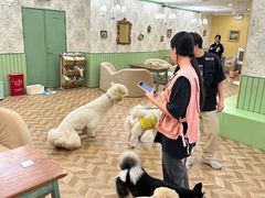 -怪兽屋·羊驼·猫咖·狗咖(俊华广场店)