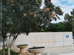 -山东大学(趵突泉校区)